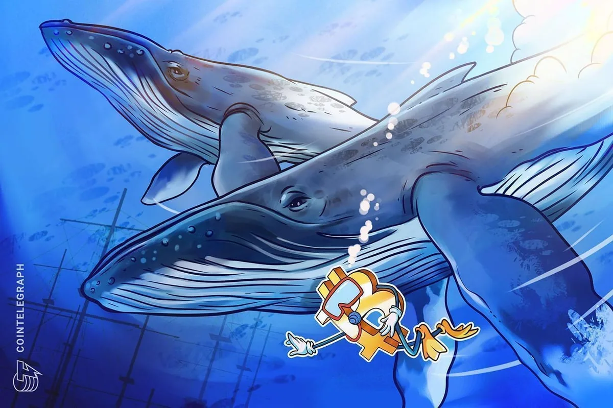 Bitcoin Short-Term Whales Face Deeper Losses Amid Binance Inflows