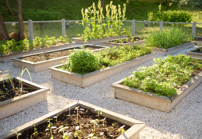 maximising-garden-health:-the-benefits-of-using-multi-purpose-compost
