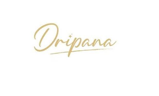 dripana-launches-new-“torso”-—-redefining-emotional-connection-through-ai-and-multi-sensory-technology